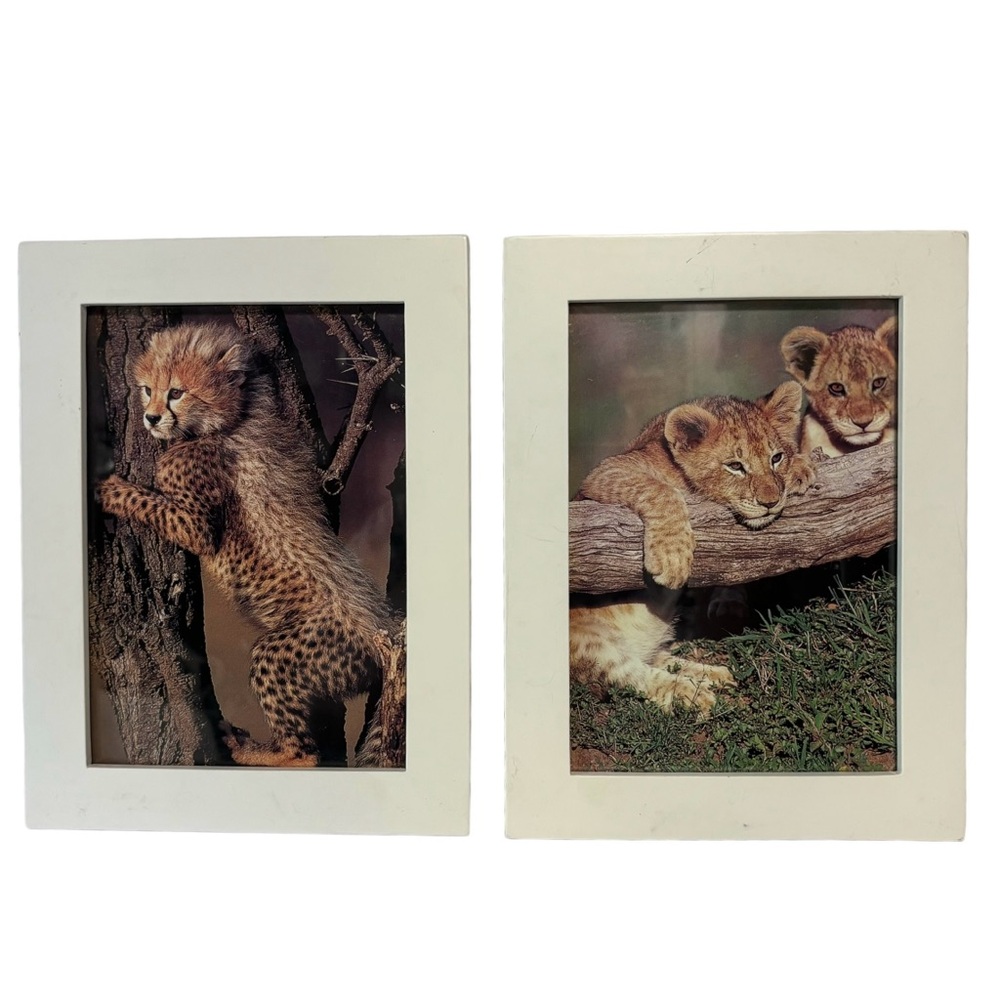 Lion Cubs & Cheetah Pictured Set of 2 pre-owned